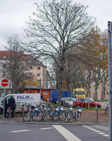 Bachplätzchen vorher