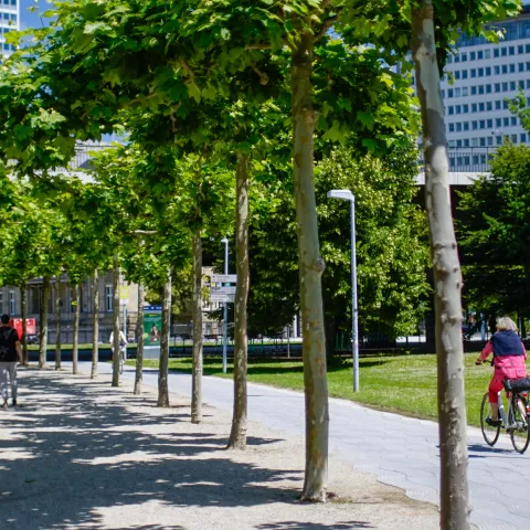 Düsseldorf