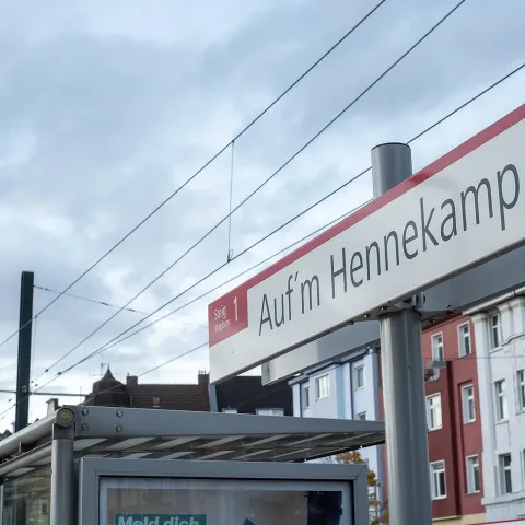 hennekamp