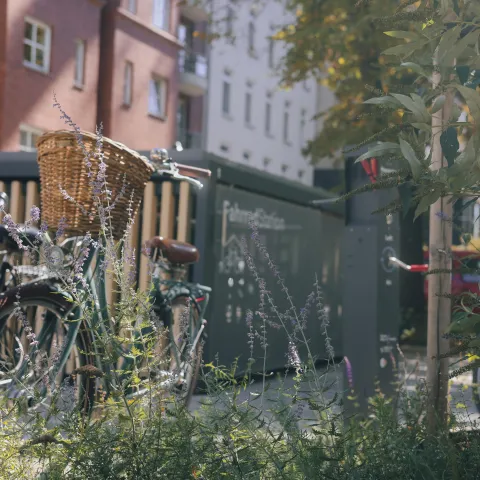 Horion Platz Sommer-14