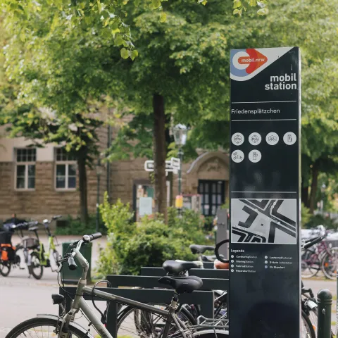Friedensplätzchen