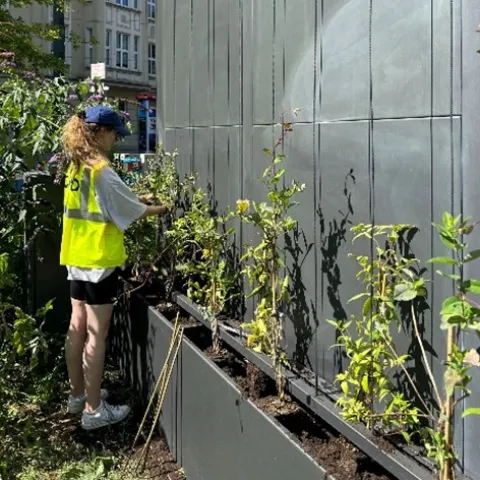 Klimaanpassung Fürstenplatz