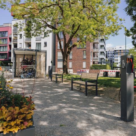 Begrünung Mobilitätsstation Schinkelstraße