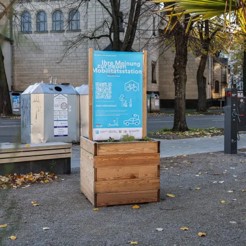 Infostele Umfrage