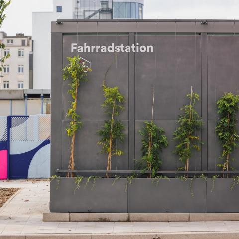 Fahrradstation begrünt
