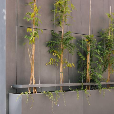 Begrünung Fahrradstation