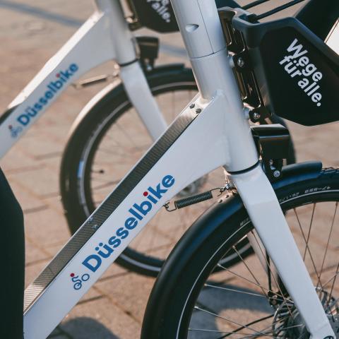 Düsselbike Schirftzug Fahrradrahmen