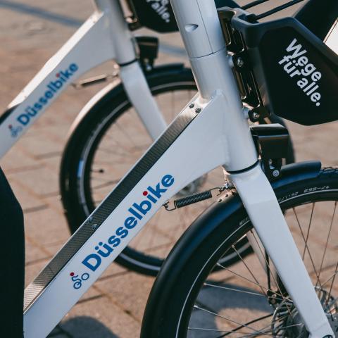 Düsselbike Schriftzug